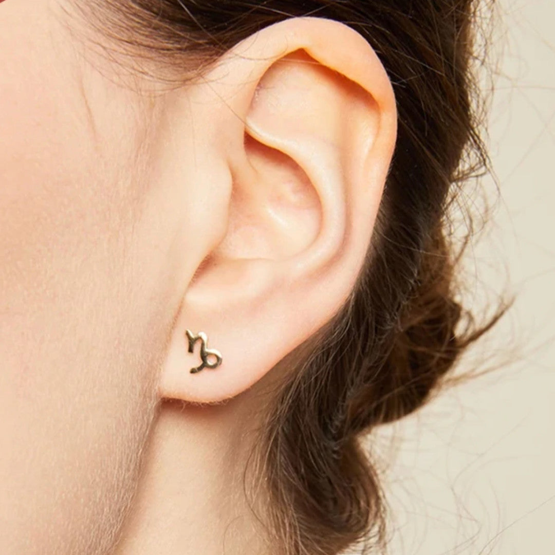 Zodiac Stud Earrings